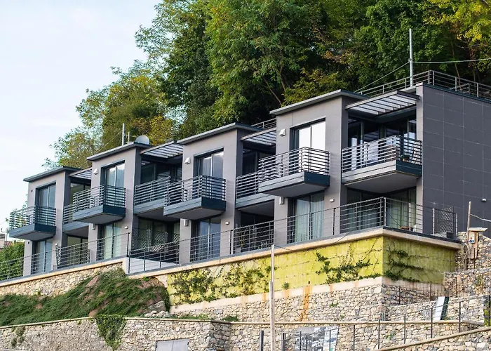 Art Vista Nesso